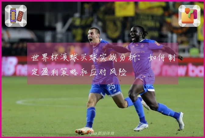 世界杯滚球买球实战分析：如何制定盈利策略和应对风险