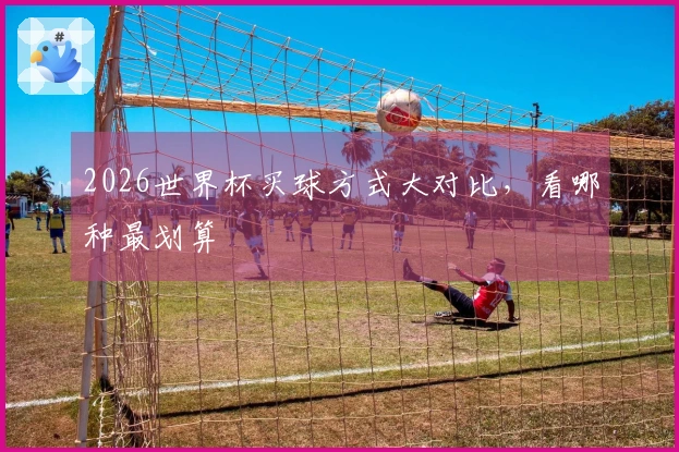 2026世界杯买球方式大对比，看哪种最划算