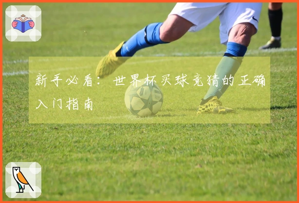 新手必看：世界杯买球竞猜的正确入门指南