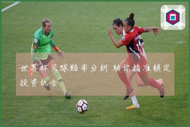 世界杯买球赔率分析 助你精准锁定投资机会