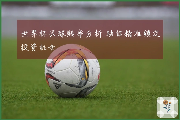 世界杯买球赔率分析 助你精准锁定投资机会