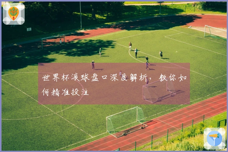 世界杯滚球盘口深度解析，教你如何精准投注